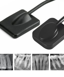 Endoking Dental RVG Sensor